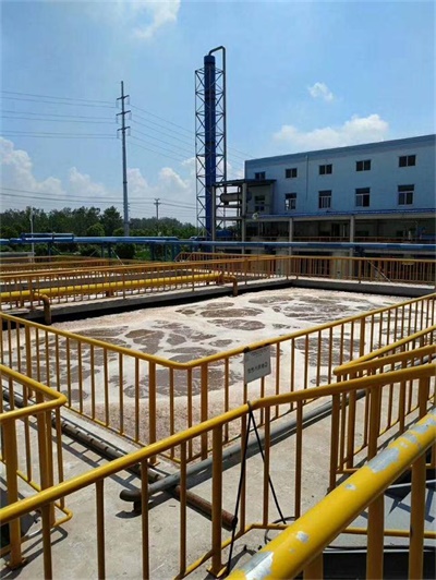 650-866.jpg 650-866.jpg